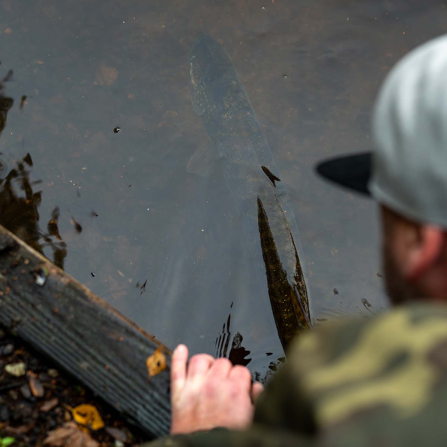 SKEATER-PIKE-FISHING-TIPS-2