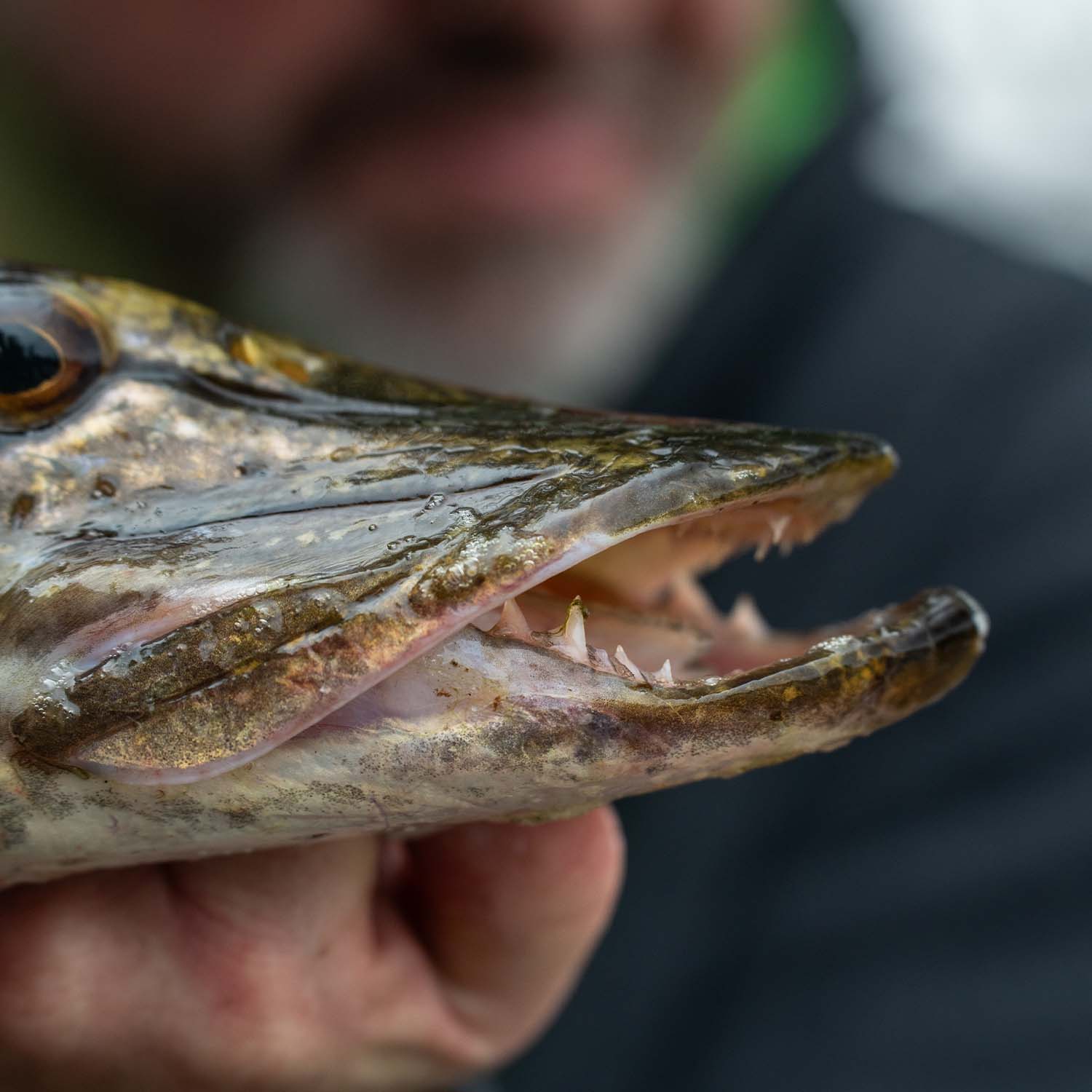 SKEATER-PIKE-FISHING-TIPS-4